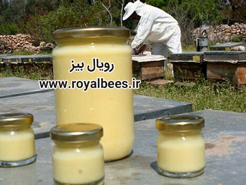 خرید ژل رویال اصل در اصفهان از زنبوردار